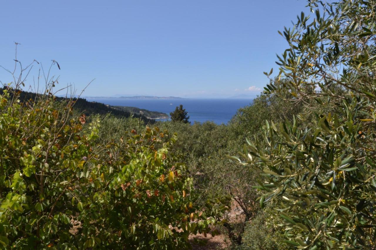 Villa Elaia Suites & Apartments No.6 Gaios Exteriör bild